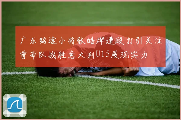 广东铭途小将张皓烨遭殴打引关注曾率队战胜意大利U15展现实力