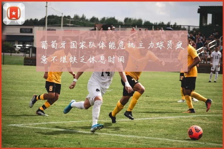 葡萄牙国家队体能危机主力球员疲惫不堪缺乏休息时间